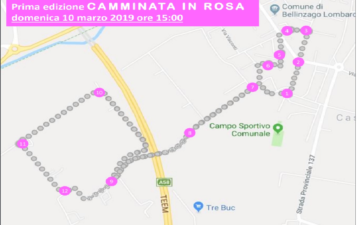Camminata in rosa domenica a Bellinzago