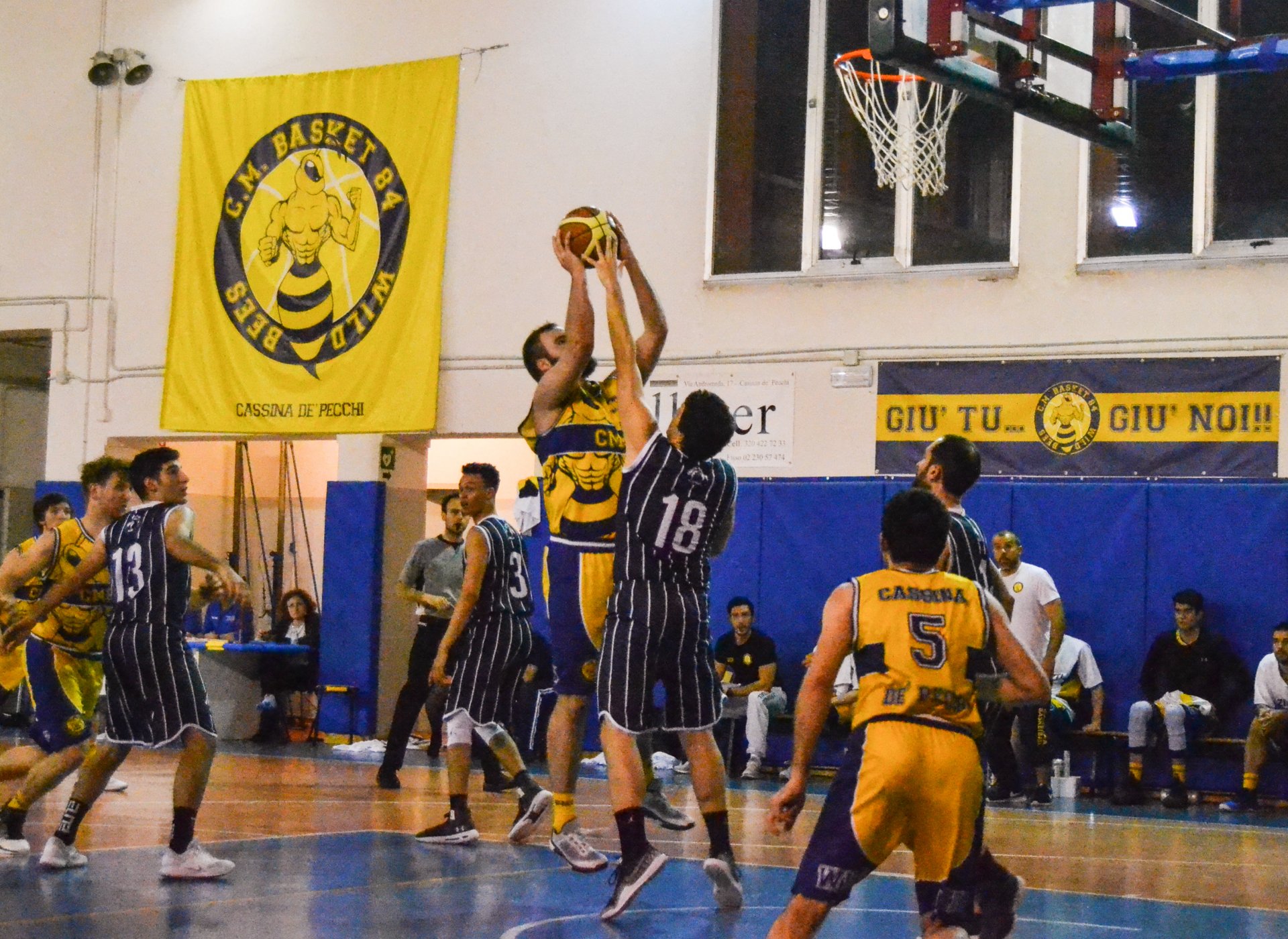 pallacanestro serie d maschile cm cassina forze vive inzago foto azione
