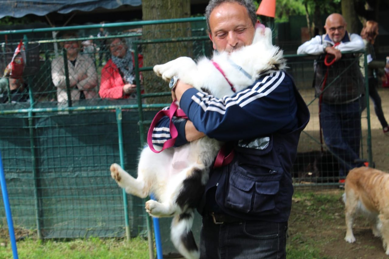 Una giornata dedicata a cane e padrone a Trezzo FOTO