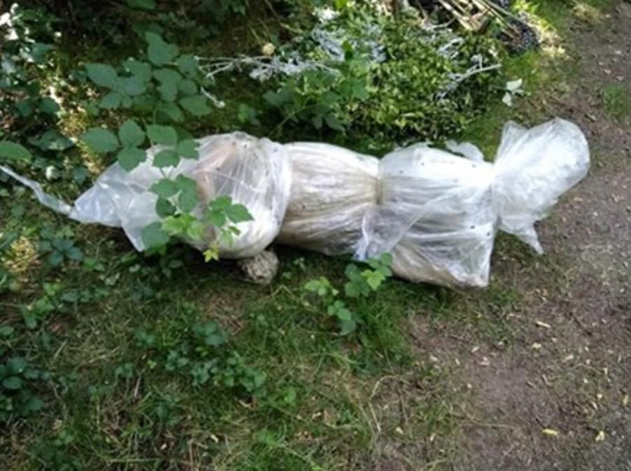 Sacco sospetto a bordo strada, dentro c’è la carcassa di un cane