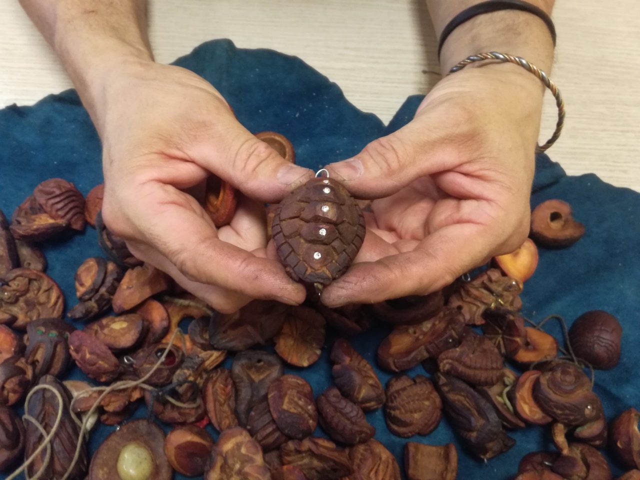 Realizza opere d’arte dai semi di avocado