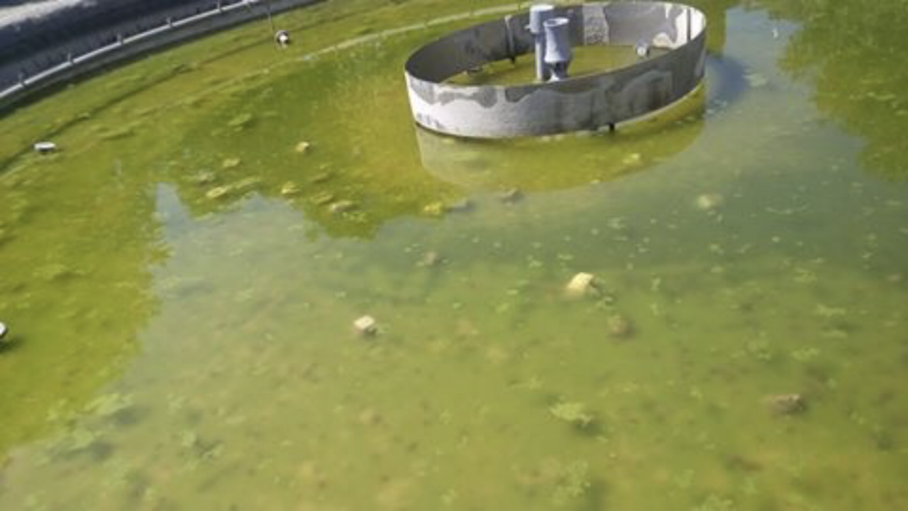L’appello dell’Amministrazione: “Basta sassi nella fontana”