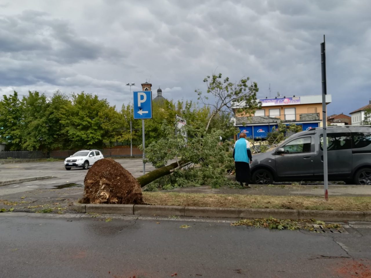 Bufera a Pontirolo, alberi divelti anche in centro FOTO