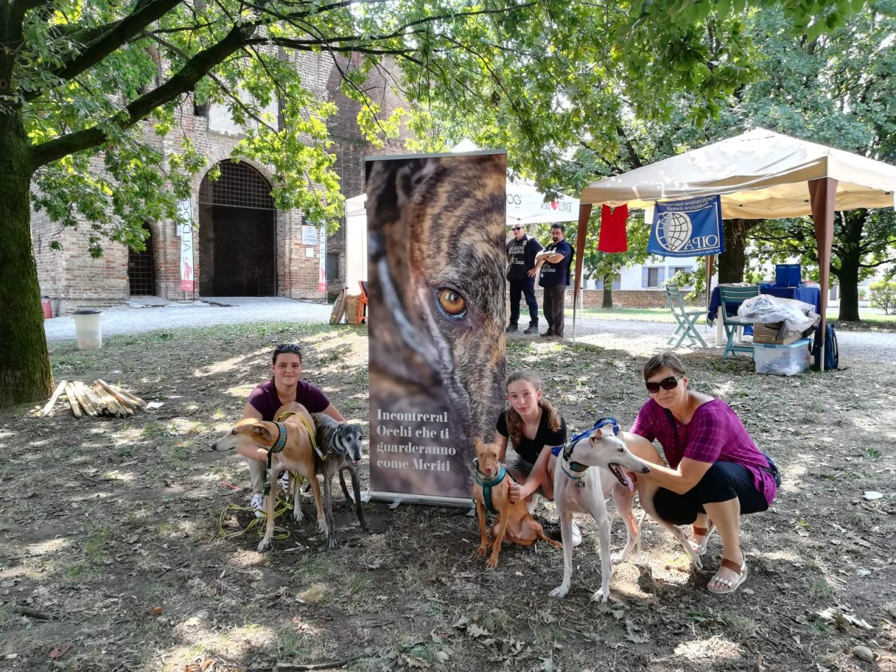 Dopo le torture in Spagna la cagnolina Leia cerca casa in Italia