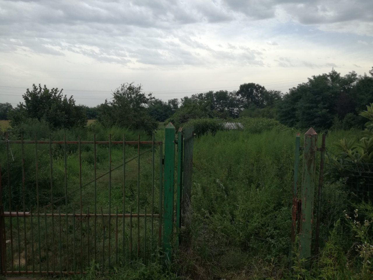Uomo trovato morto nei campi, indagini in corso