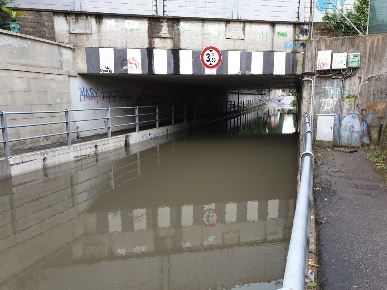 Nubifragio in Martesana, allagamenti, strade bloccate e alberi caduti FOTO