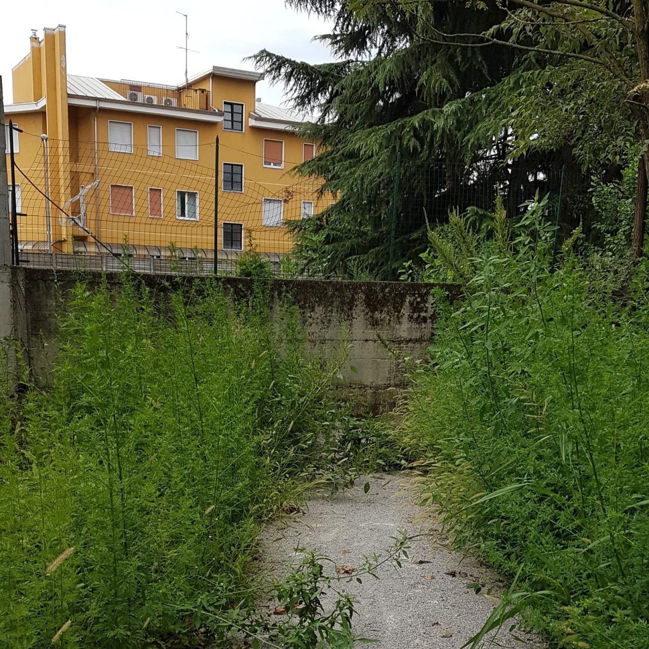 La nuova ciclabile finisce contro il muro di una ditta