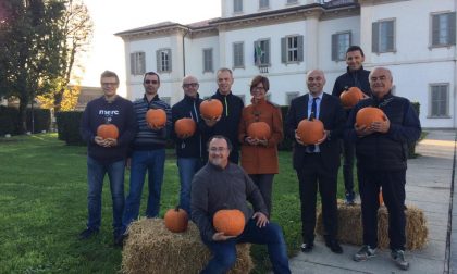 Halloween, invasione di zucche a Cernusco sul Naviglio