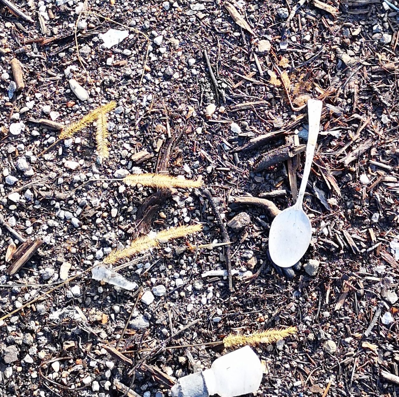 Plastica dei campi, il sindaco ordina di sospendere l’attività agricola