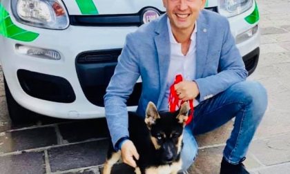 Ecco "Dea", il futuro cane antidroga della Polizia Locale