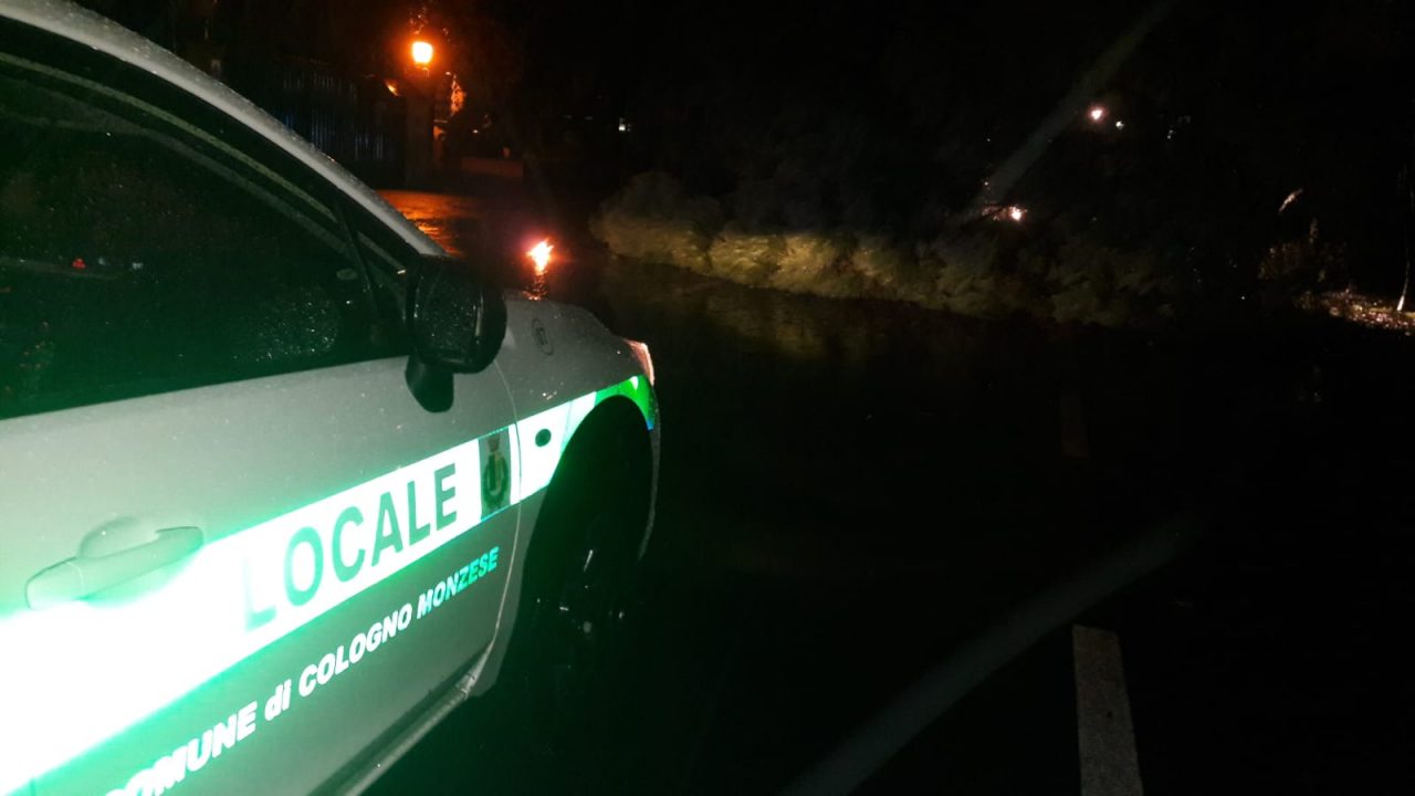 arrivano i pompieri per un albero caduto in viale spagna a cologno monzese