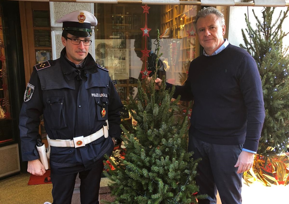 Albero di Natale rubato torna ad abbellire la città