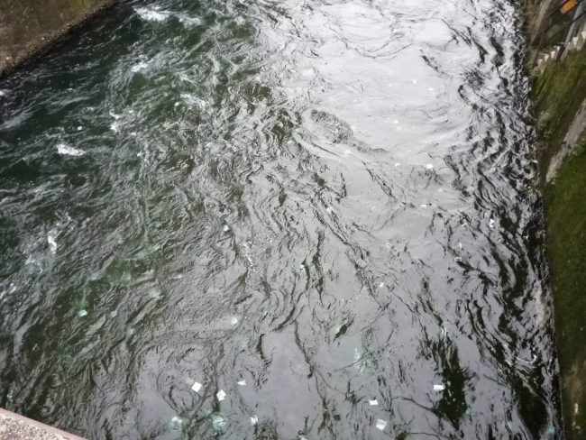 Migliaia di euro nel Naviglio… ma erano falsi