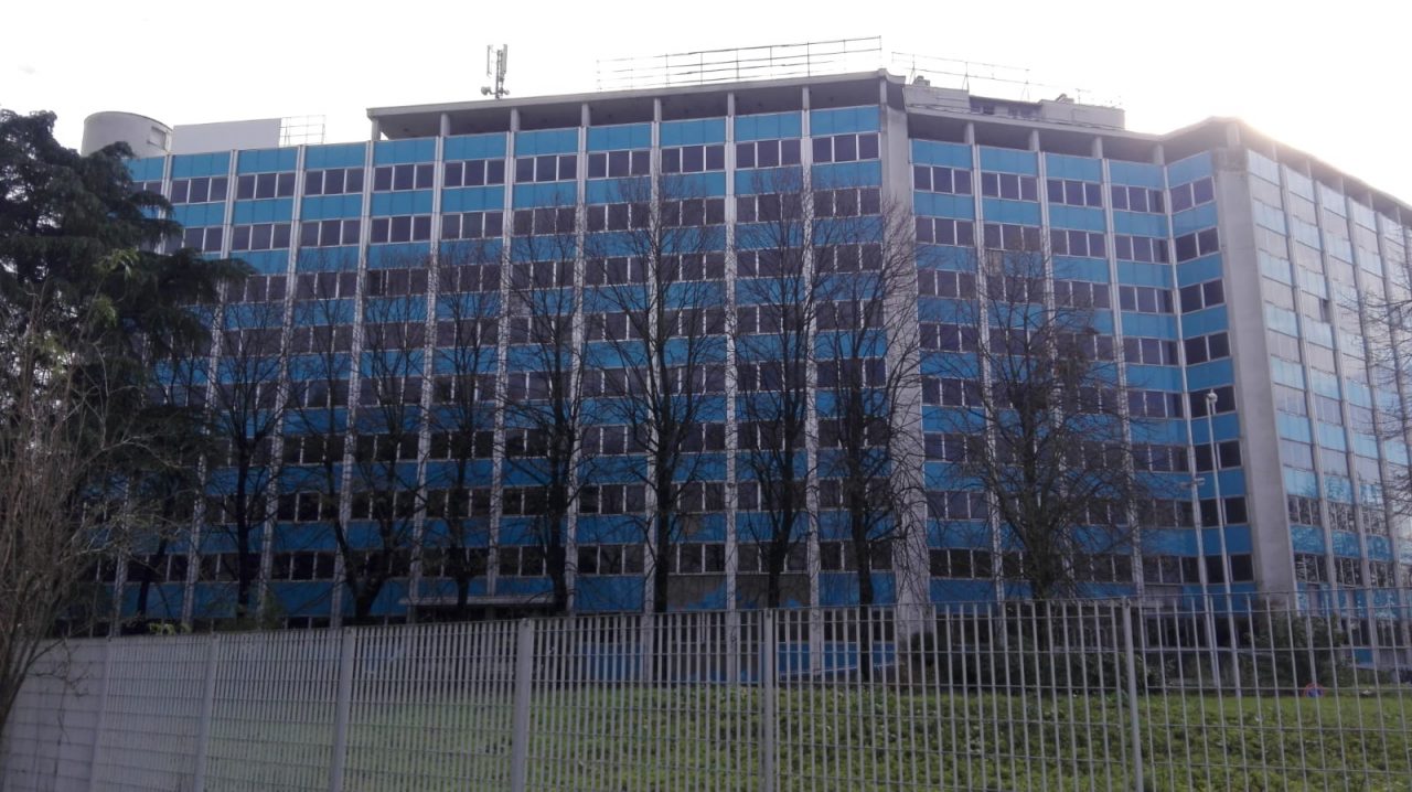 Slitta l’ok all’abbattimento del “mostro” perché il funzionario è in ferie