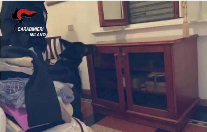 Fiumi di droga e armi: carabinieri fanno “il pieno” di arresti VIDEO