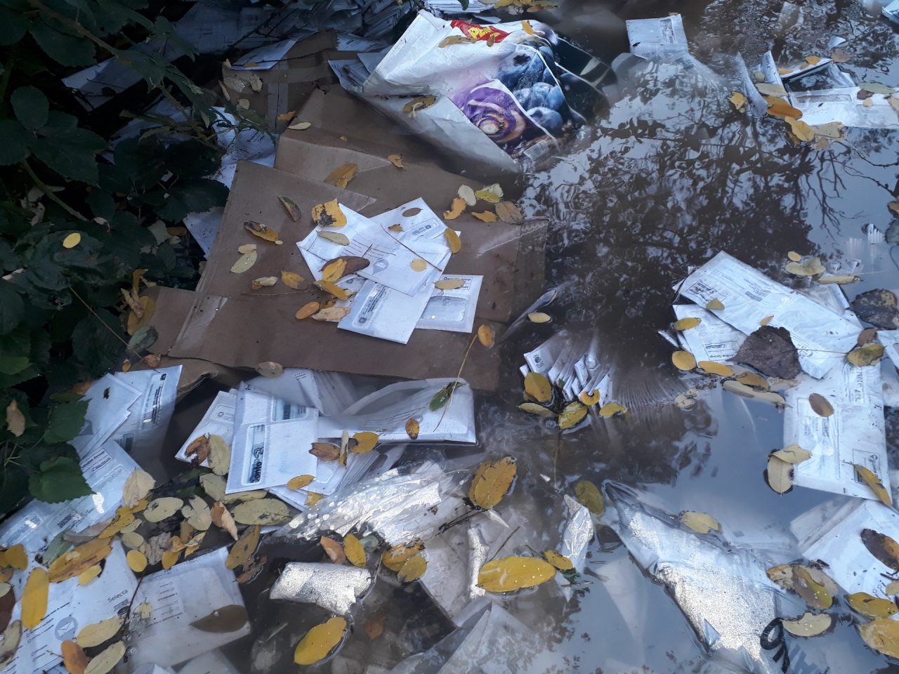 C’è posta per te, anzi no. Un quintale di lettere buttate nei campi