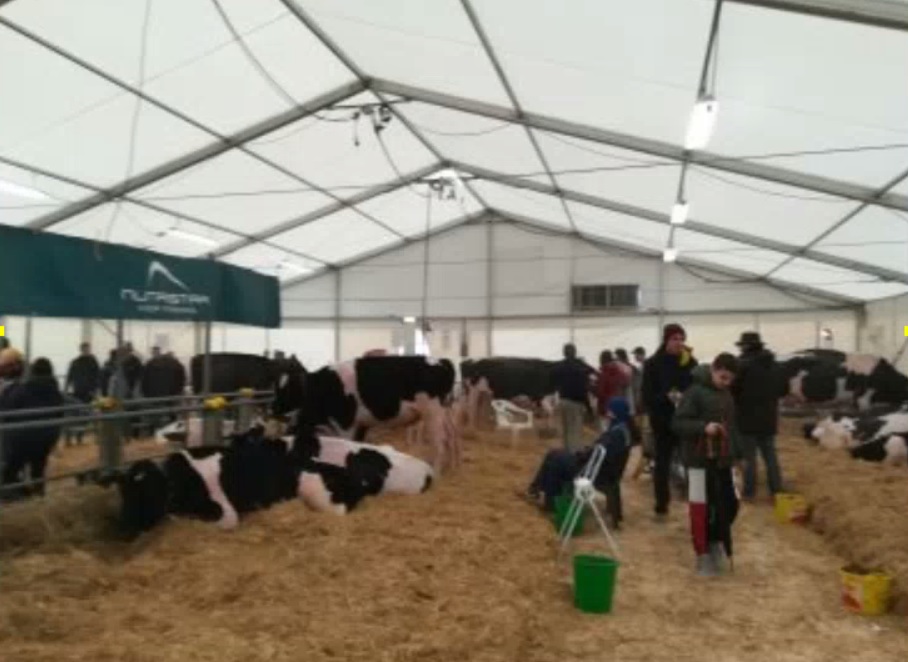 Fiera di Sant’Apollonia: al via venerdì i convegni zootecnici