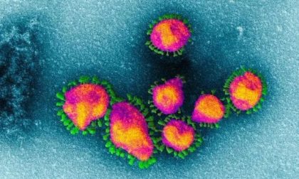 Coronavirus in Martesana, la situazione al 6 maggio COMUNE PER COMUNE