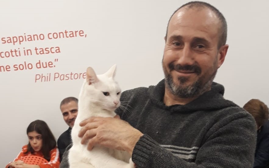 Una sfida all’ultima… fusa: ecco i “gatti star” FOTO
