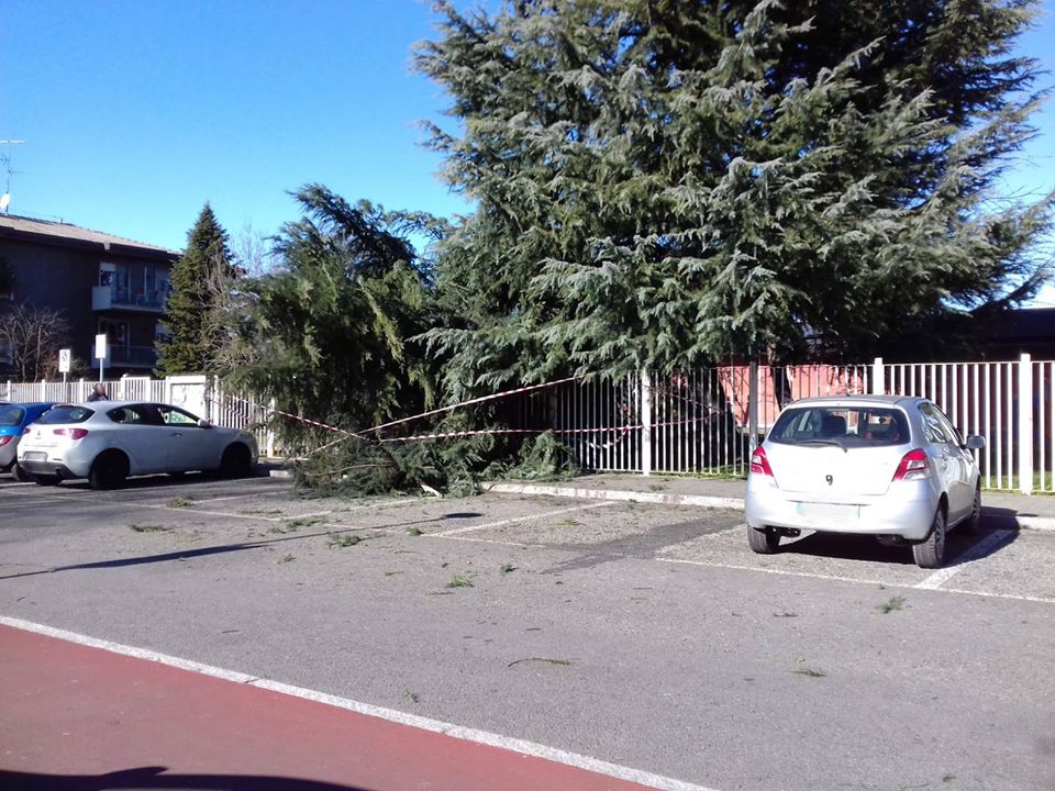 Vento forte, cadono gli alberi a Cernusco