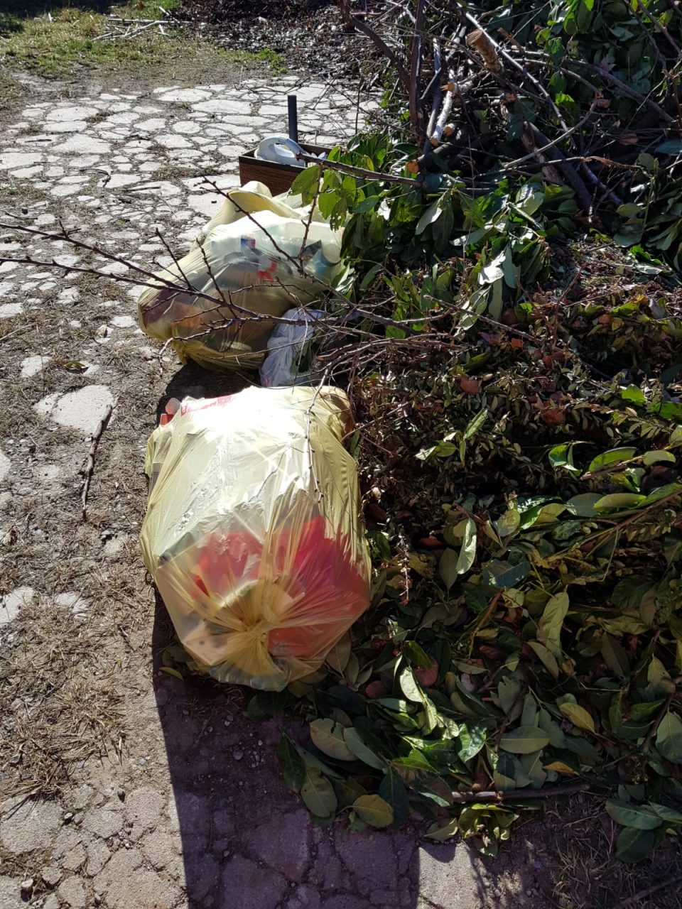 Ripulita la discarica abusiva a Cascina Bindellera