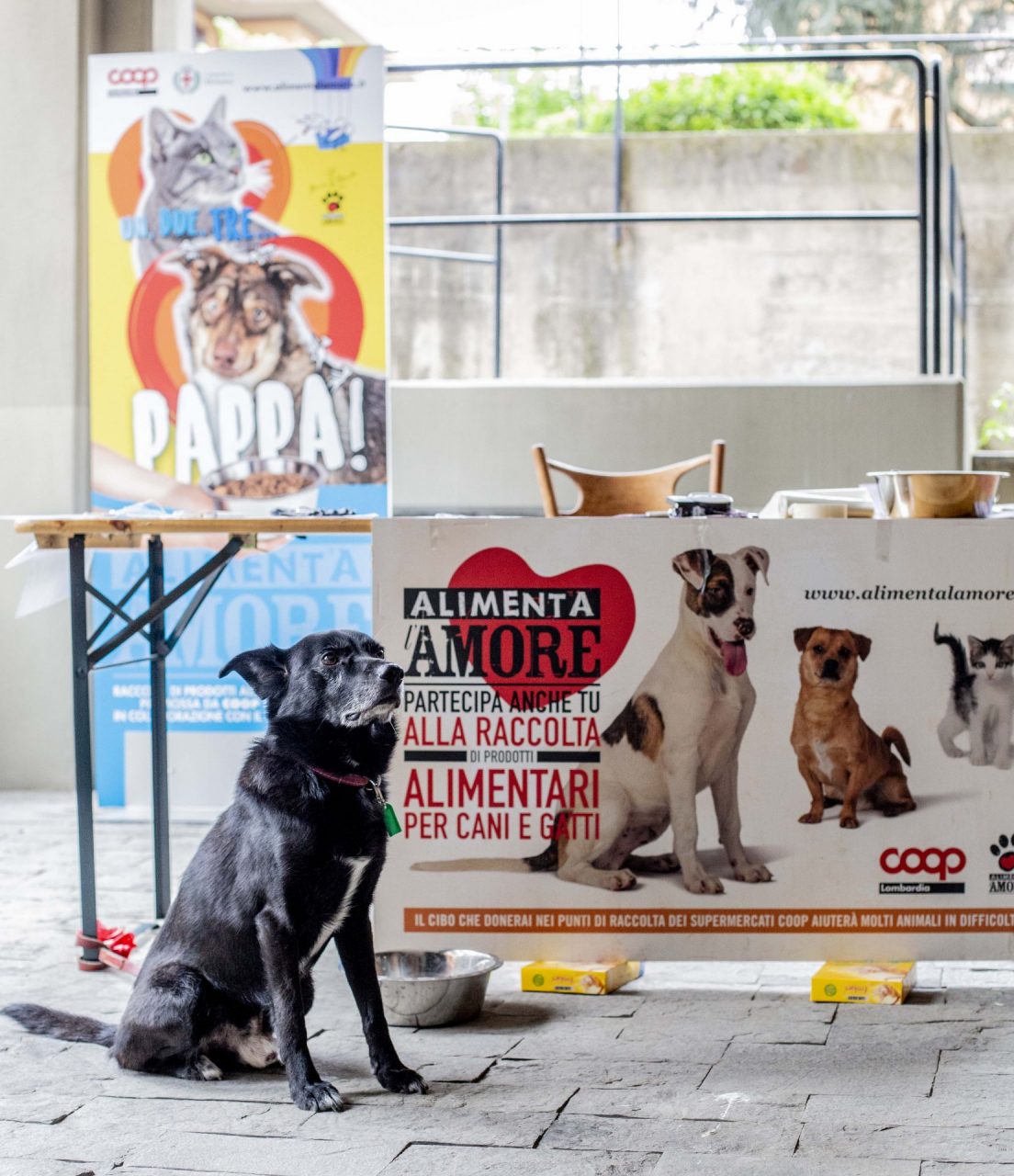alimenta l'amore coop lombardia