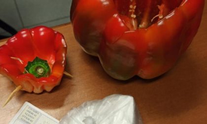 Ambulante di frutta e verdura nasconde la droga dentro un peperone