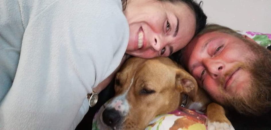 Cane si sente male sull’alzaia della Muzza e viene salvato all’ultimo dal veterinario