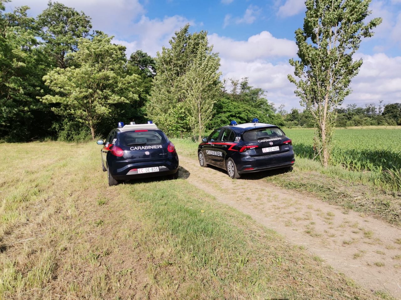 Ritrovato senza vita il corpo di un 36enne in un bosco a Cernusco