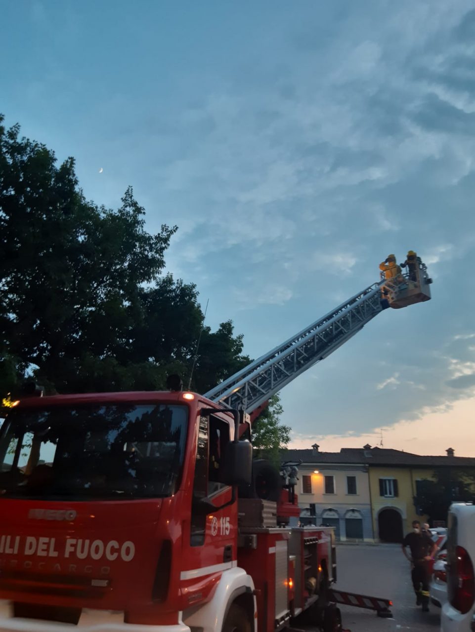 Vigili del fuoco recuperano un mega alveare di api FOTO