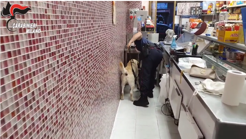 Vendevano un chilo di cocaina a settimana: dodici arresti, il capo era un macellaio
