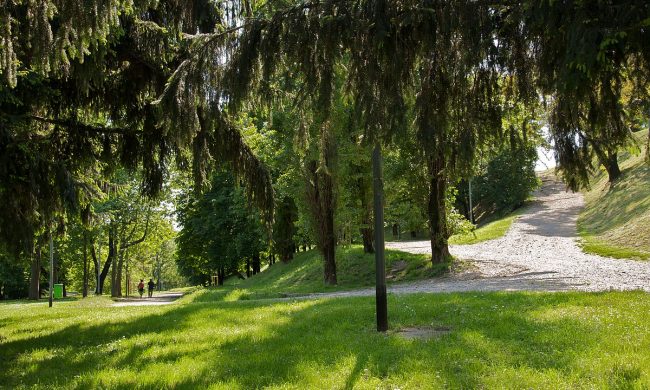 Stupro al Monte Stella, fermato il presunto colpevole