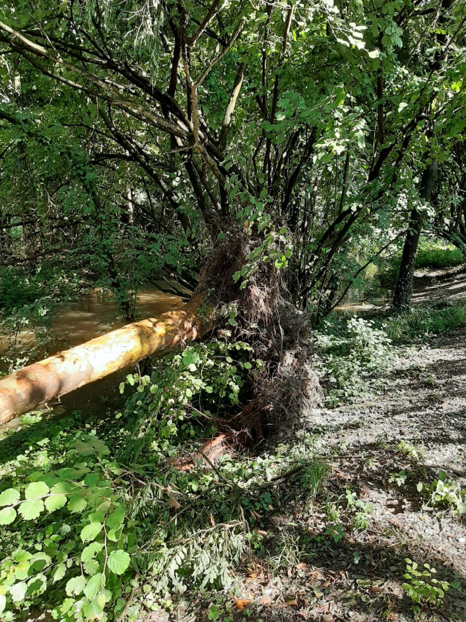 RODANO strada interpoderale del duca dopo il nubifragio