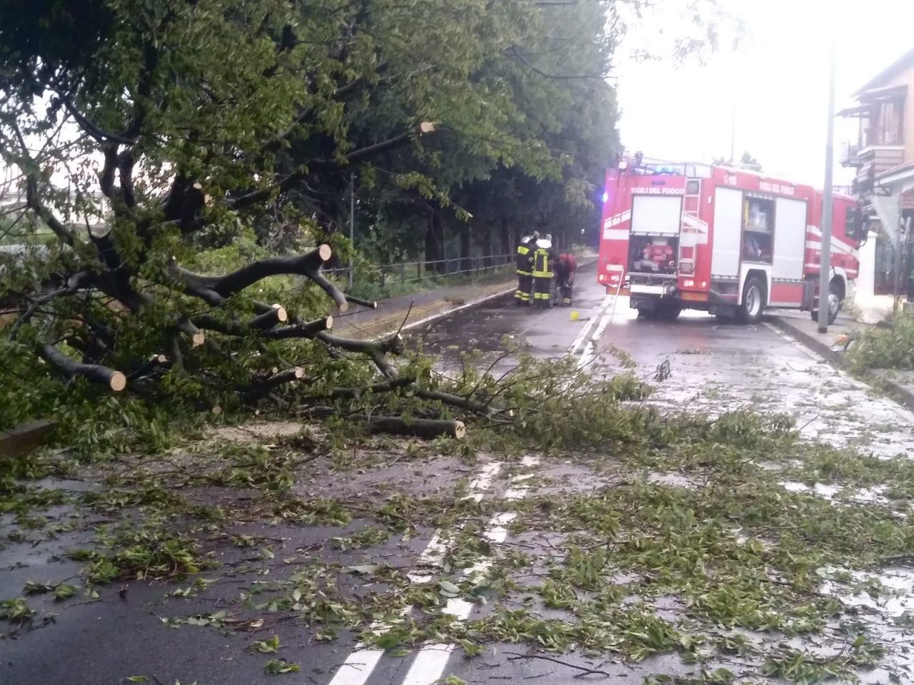 Il maltempo a Cassano d’Adda fa ancora danni al patrimonio verde FOTO