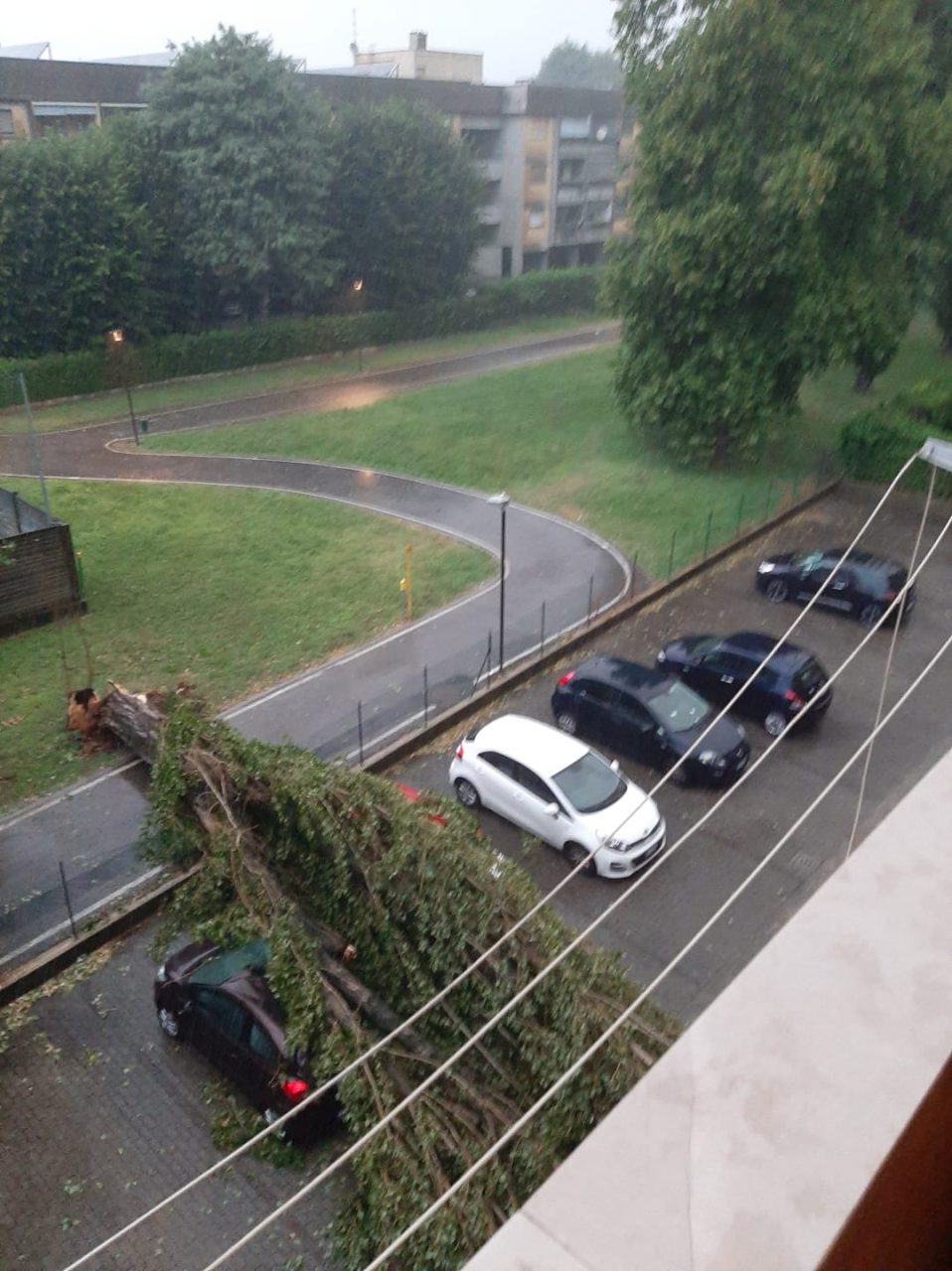 Piante cadute e sottopassaggio allagato. Disagi a Melzo  FOTO  VIDEO