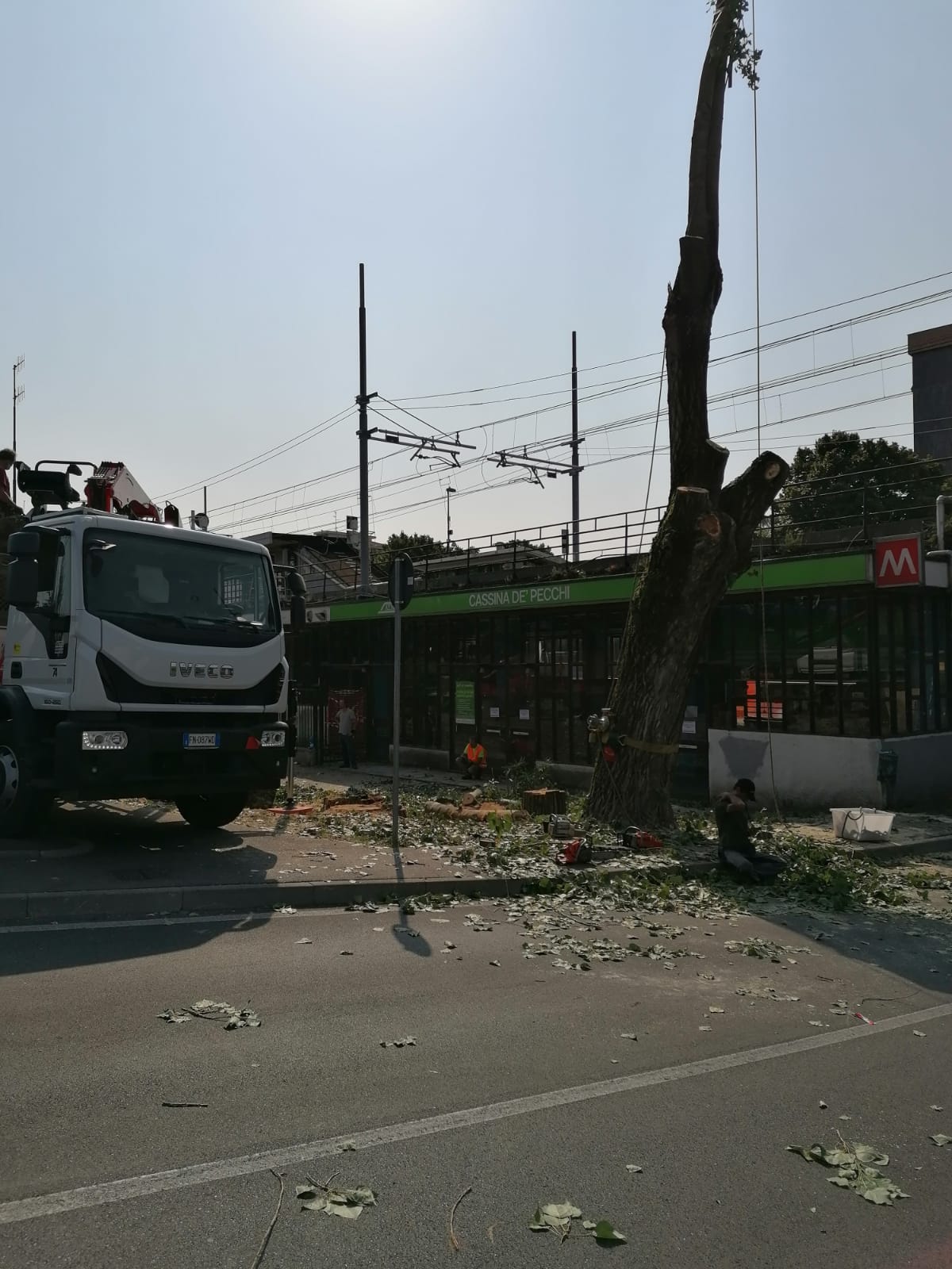 WhatsApp Image 2020-07-30 at 09.30.19