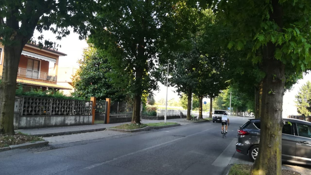 Cinquanta firme per chiedere al Comune di Cassano d’Adda di abbattere un viale alberato