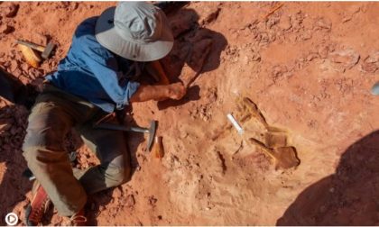 Geologo di Fara protagonista di una spedizione sulle tracce dello spinosauro - VIDEO