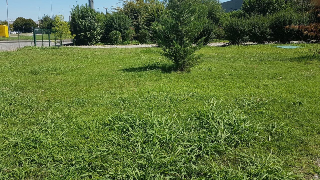 Dopo oltre un anno rimossa dal prato del centro sportivo di Grezzago l’auto comunale incidentata