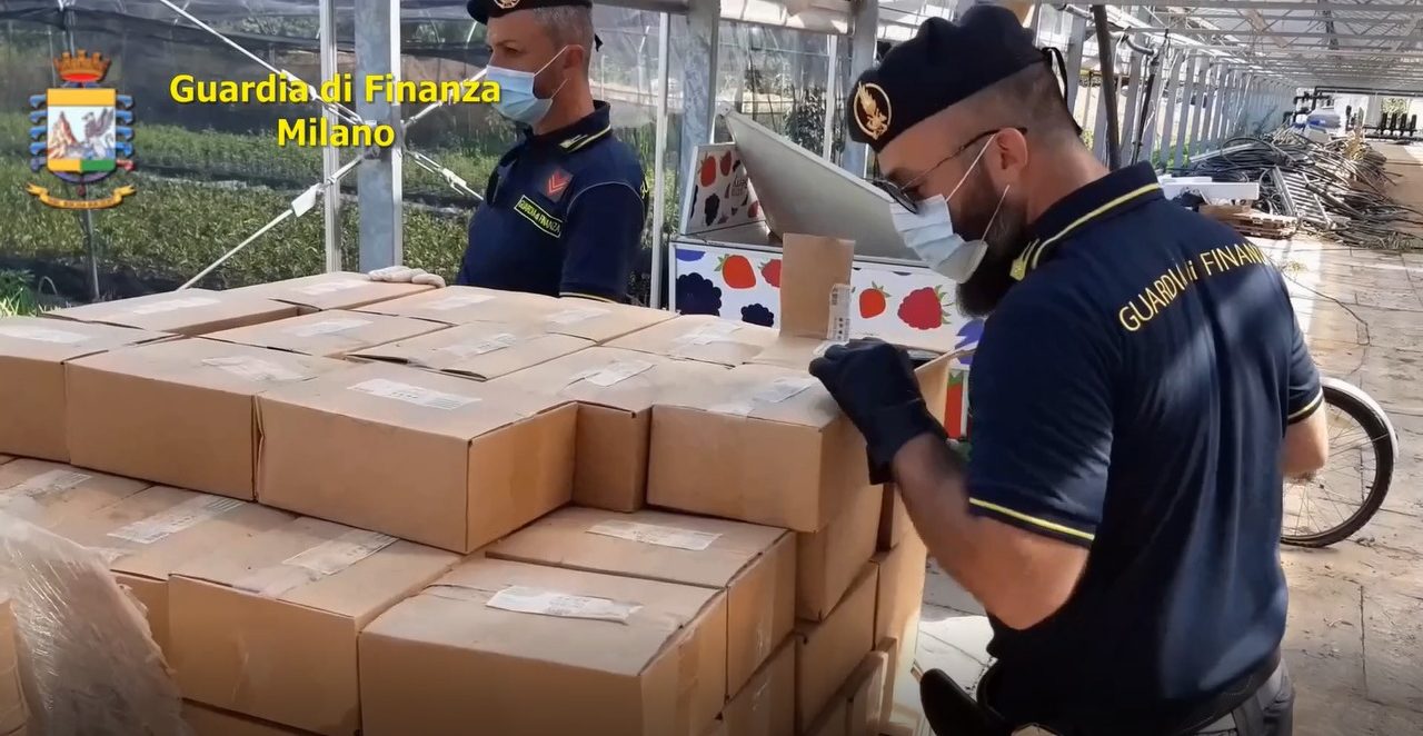 Straberry, Stagno d’Alcontres chiede il rito abbreviato