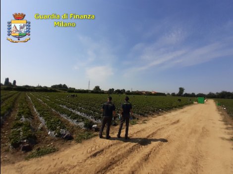 Nuovo sequestro per l’azienda Straberry, dopo le accuse di caporalato