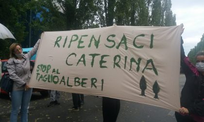 Protesta a Peschiera per salvare gli alberi: "Giù le mani da via Galvani" FOTO