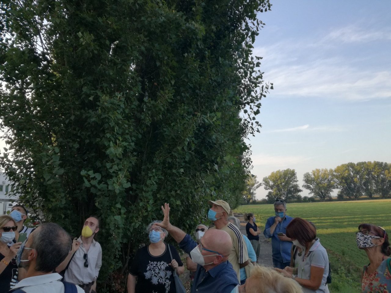Pioppi da salvare, il comitato organizza nuovi presidi FOTO