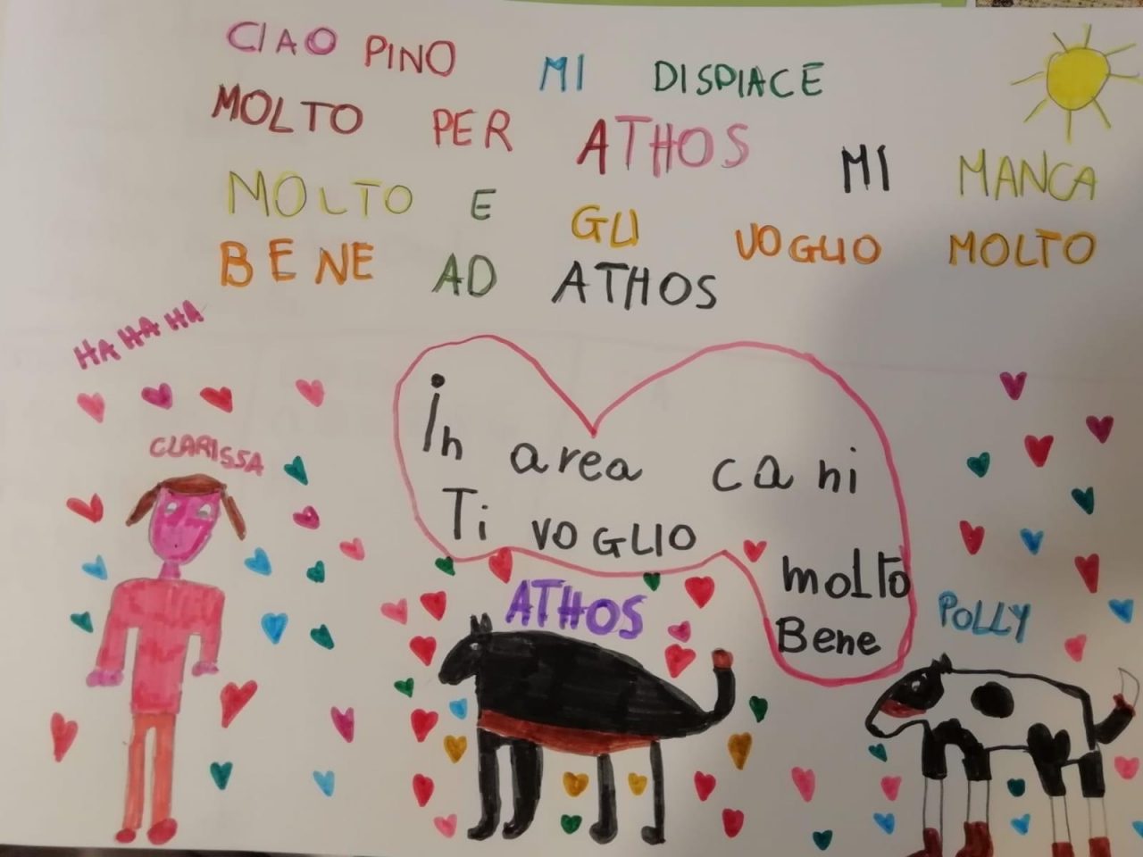 Addio ad “Athos”, cane donatore di sangue: il commovente disegno di una bimba
