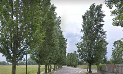 Presidio in via Galvani per evitare l'abbattimento di 240 pioppi cipressini a Peschiera