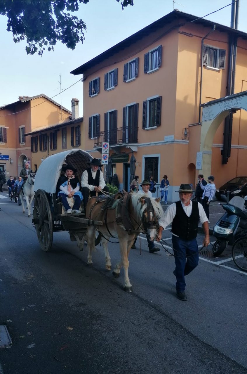 Transumanza da Inzago a Gorgonzola