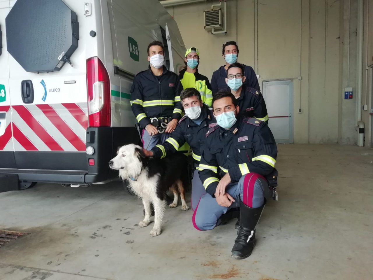 Salvato cane in fuga “per amore” sull’autostrada FOTO