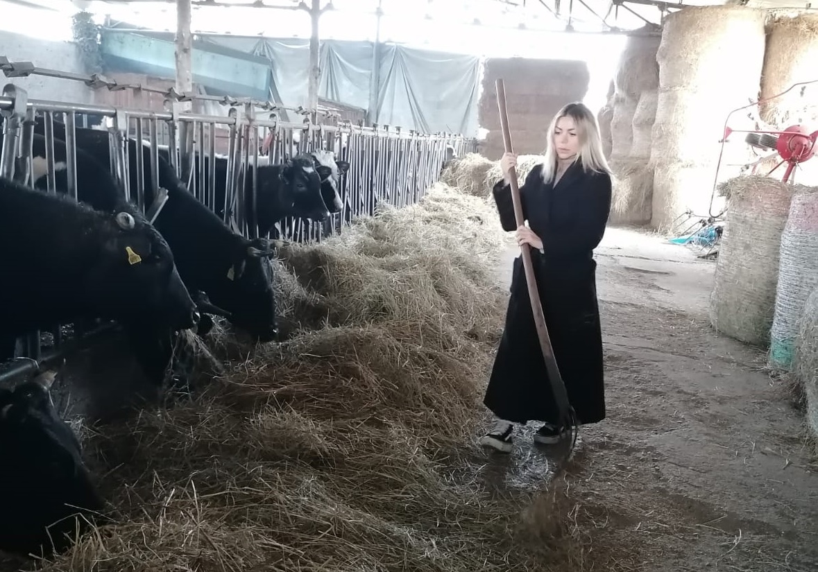 Cassano, gli animalisti e una tentatrice di Temptation Island visitano le “mucche del sindaco” FOTO