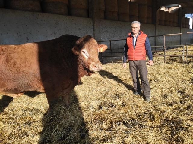 Accusato di truffa all’Ue, assolto dopo sei anni