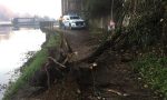 Trezzo, volontari della Protezione civile al lavoro lungo il fiume Adda per rimuovere piante e rami caduti FOTO